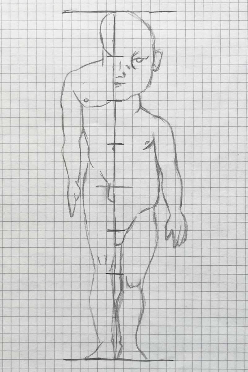 Pencil sketch of a proportions canon on squared paper: on the left the stretched mass of an adult, on the right the changed proportions of a child.